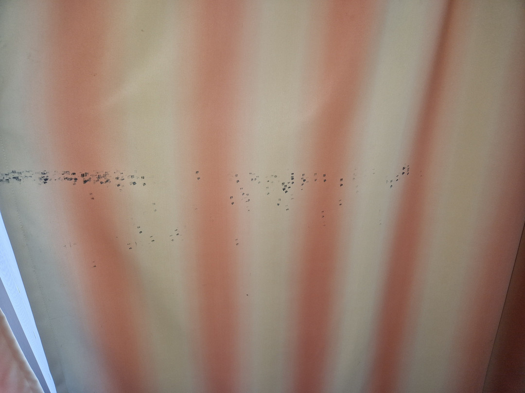 Hotel Gasthof - Thaneller主图