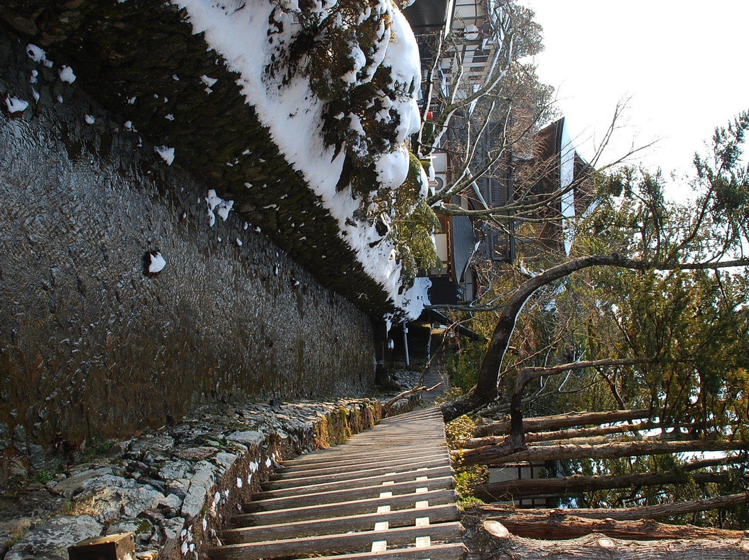 高野山-高野町必去景点