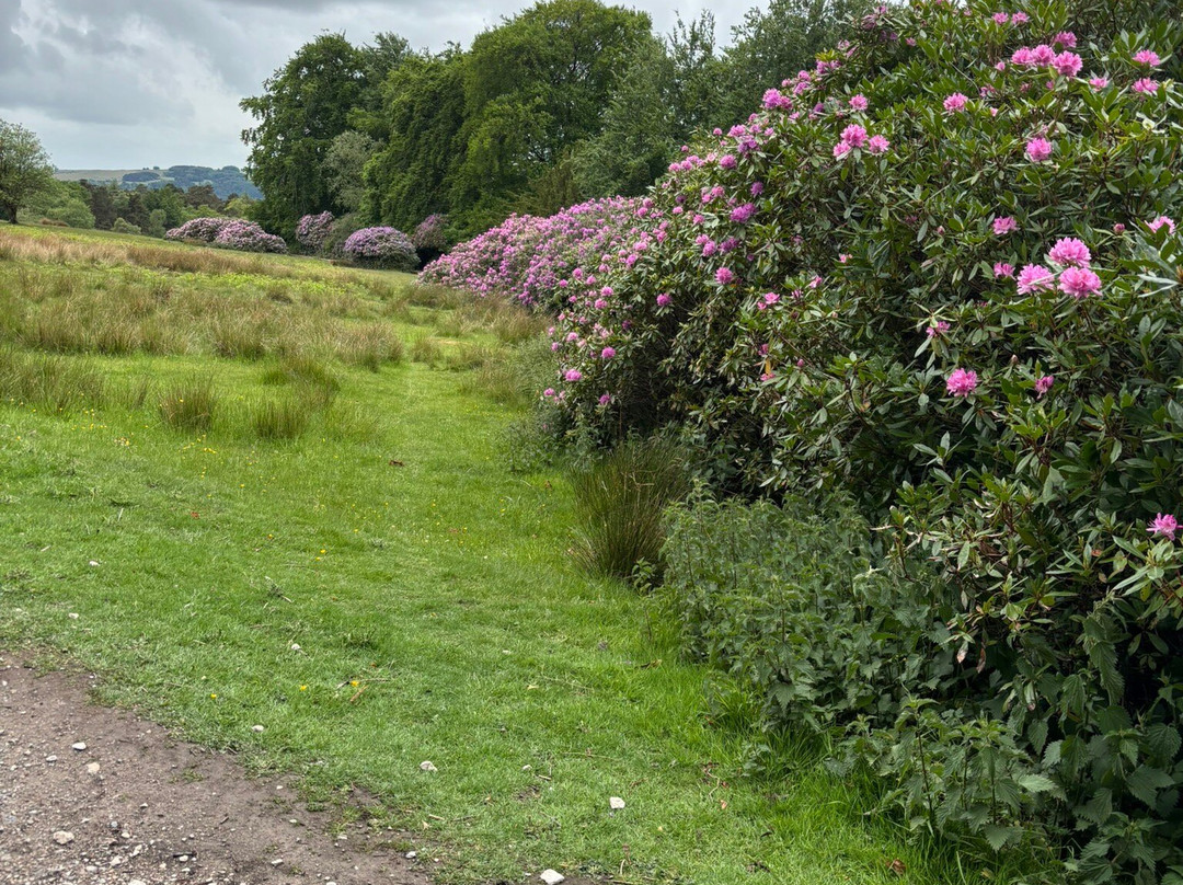 Longshaw Estate景点图片