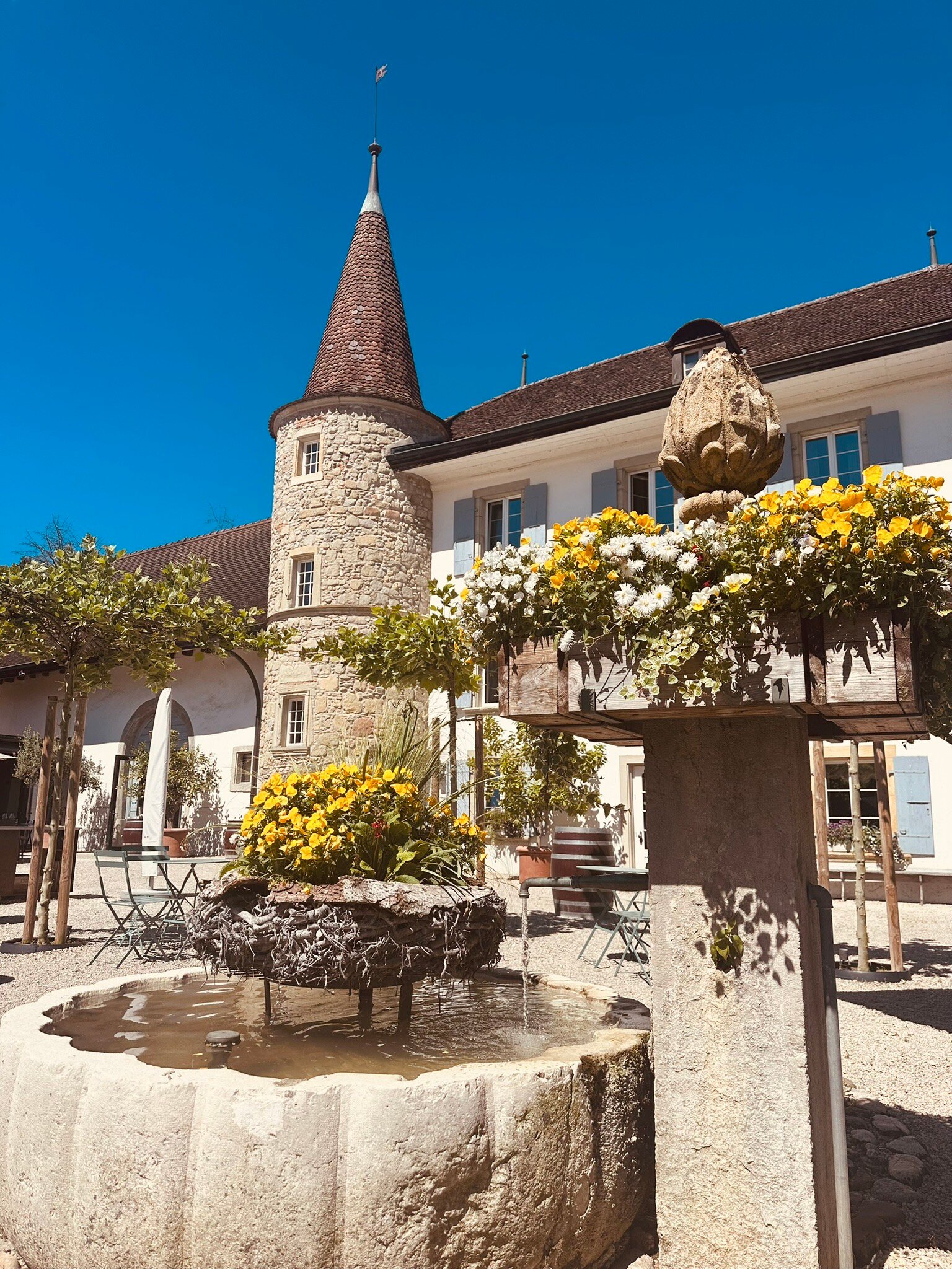 Château Salavaux-官方