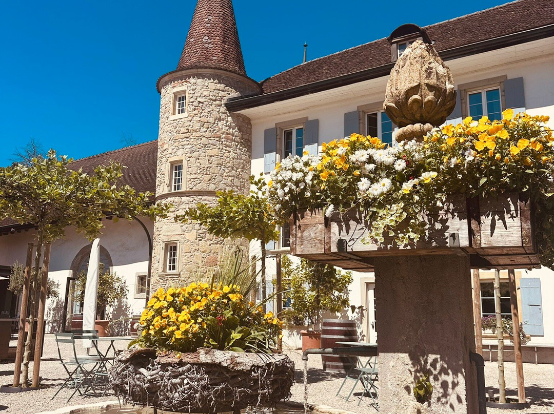 Château Salavaux主图