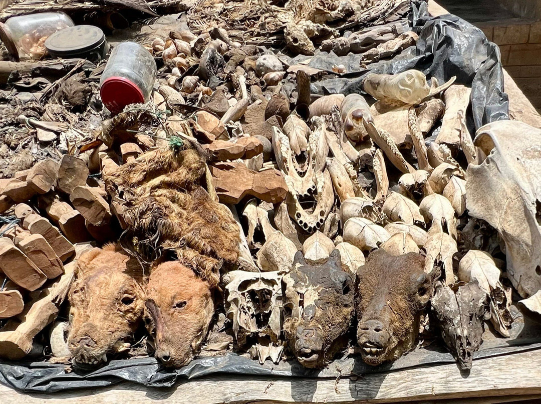 Akodessewa Fetish Market-洛美必去景点