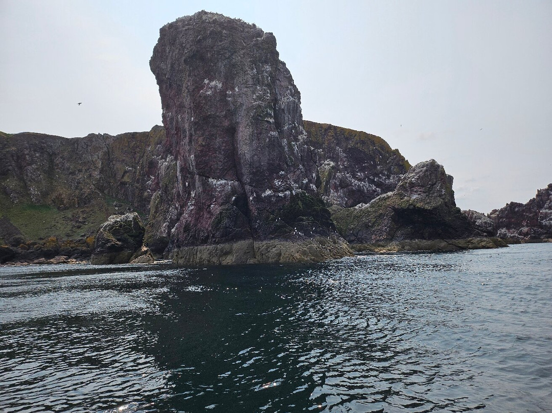 Eyemouth Rib Trips景点图片