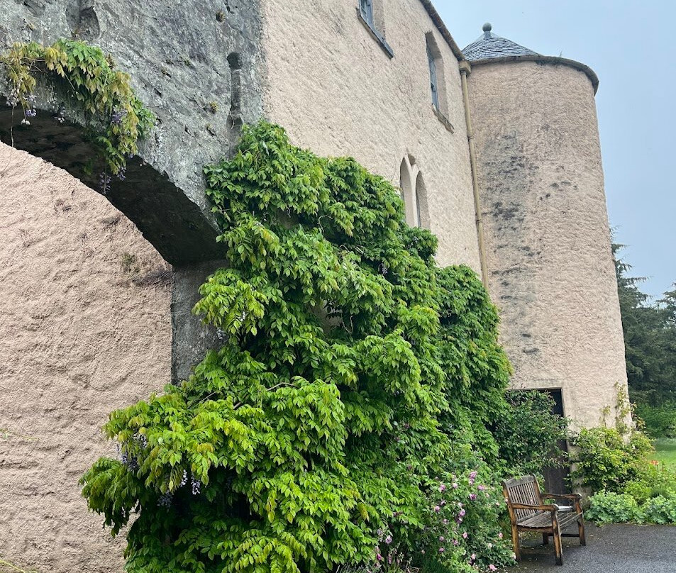 Duchray Castle Ltd主图