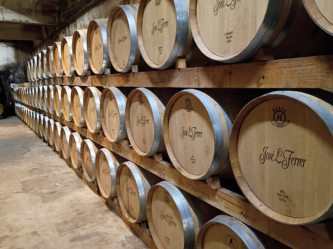 Bodegas Jose L Ferrer景点图片