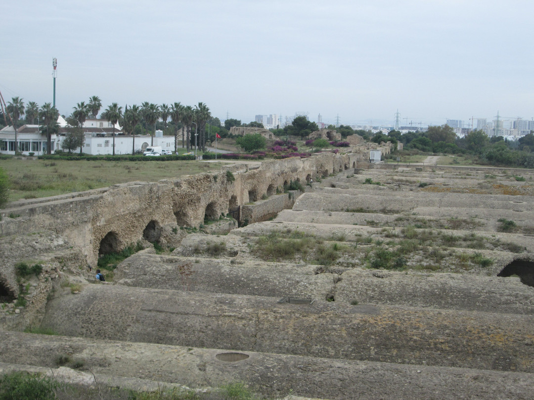 Carthage  Aqueduct-迦太基必去景点