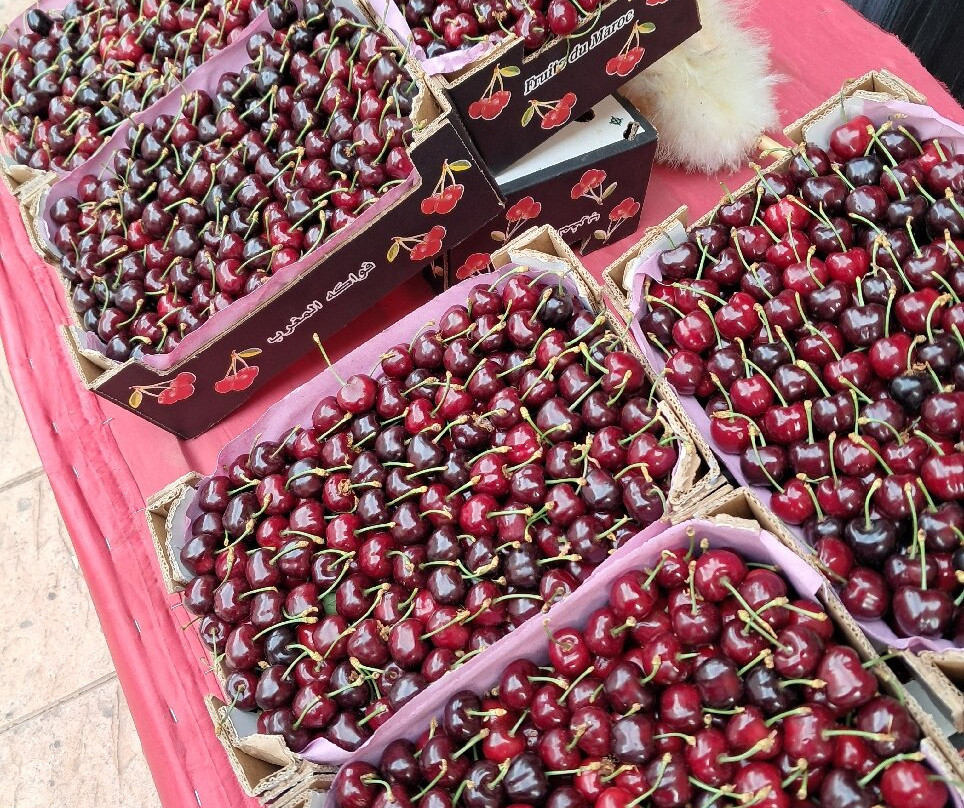 Sefrou Tour Guide-Sefrou必去景点