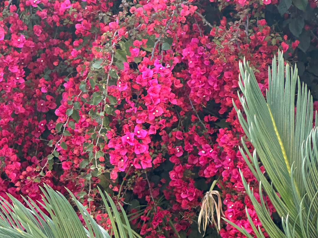 Agriturismo B&B Fiori d'Arancio主图
