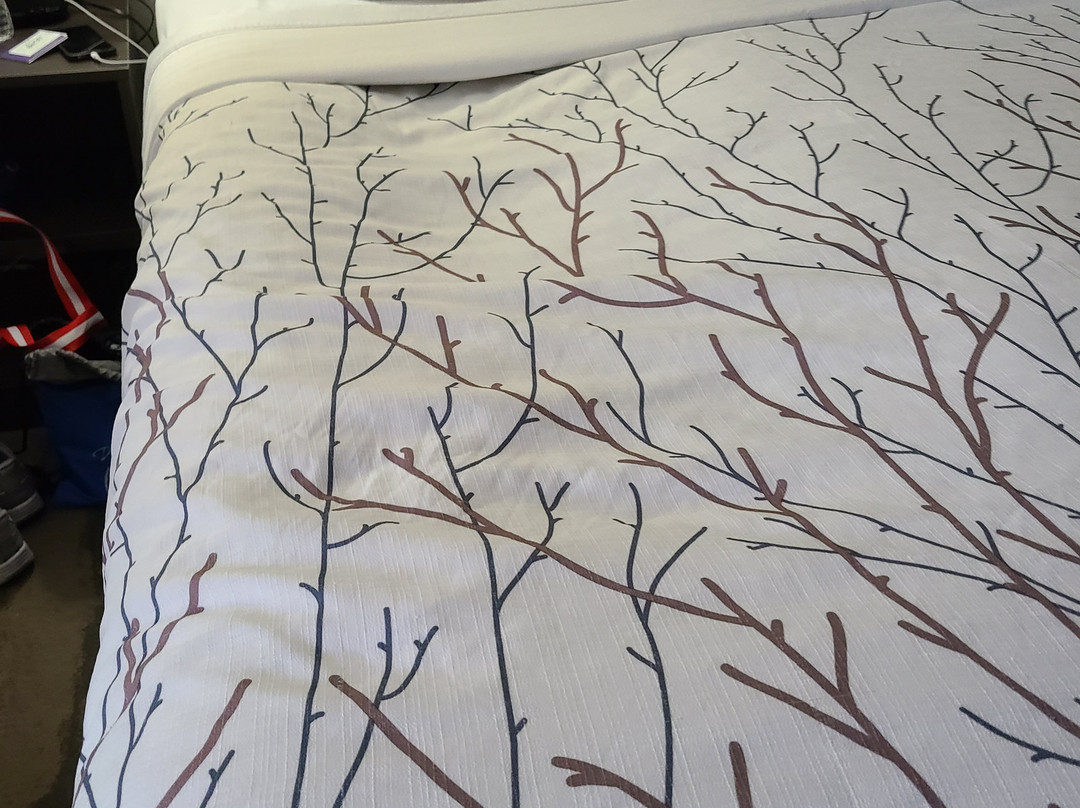 Best Western Plus Knoxville Cedar Bluff主图