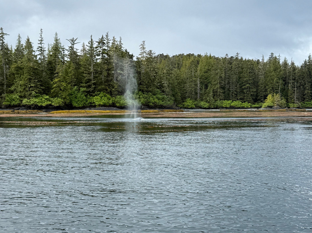 Redsky Wildlife Adventures-Klawock必去景点