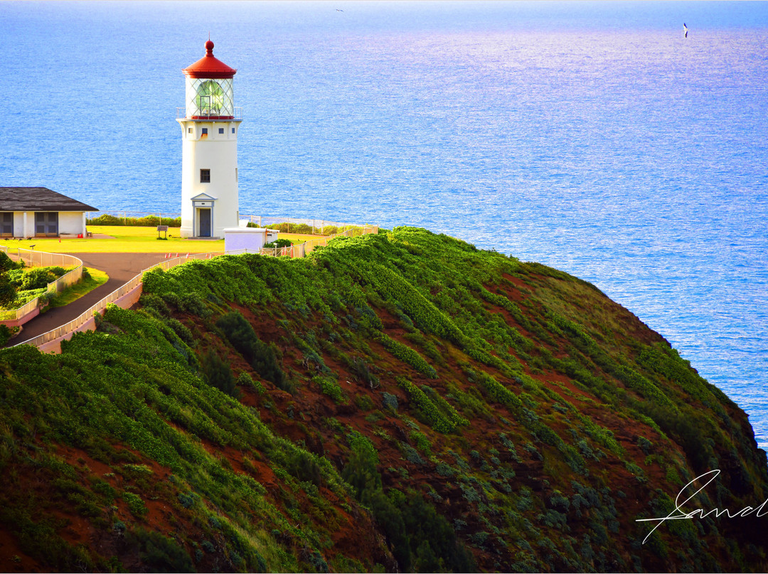 Ninini Point Lighthouse-利胡埃必去景点