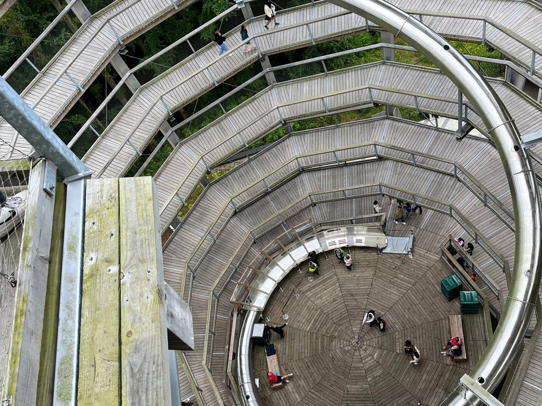 Beyond the Trees Avondale-Rathdrum必去景点