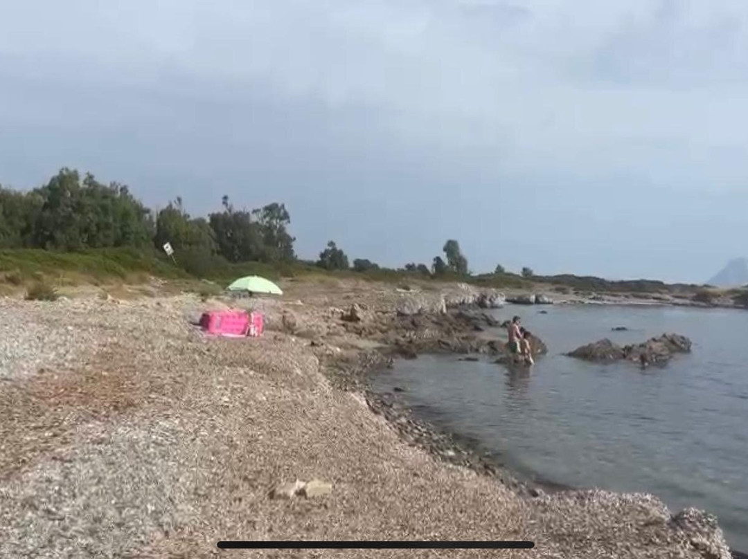 Spiaggia per Cani Costa Caddu