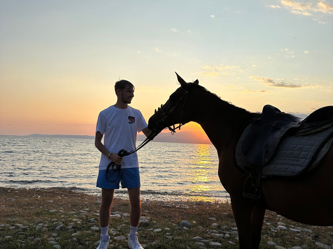 Thassos Horse Club-Skala Prinou必去景点