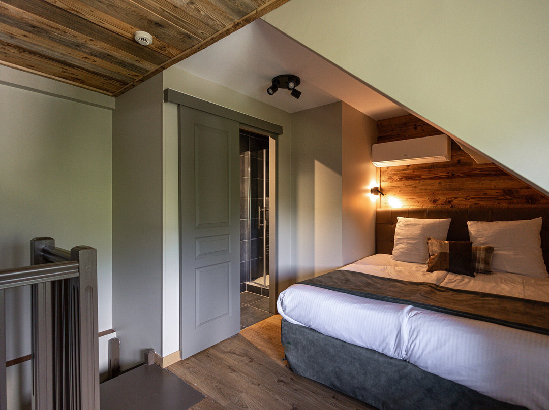 Les Lodges du Lac d'Aiguebelette主图