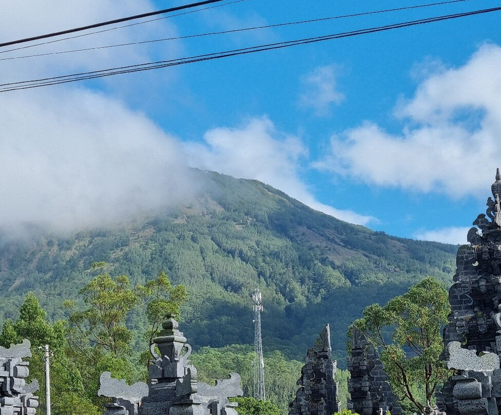 Edi Nederlands sprekende gids in Bali-Batubulan必去景点