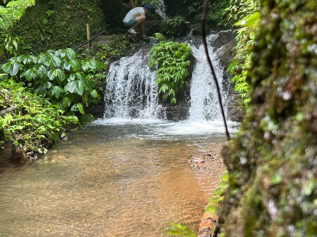 Banyu Wana Amertha Waterfall-Wanagiri必去景点