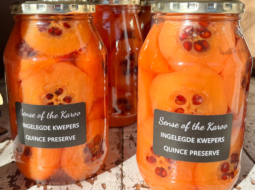 Jagtpoort-Middelburg必去景点