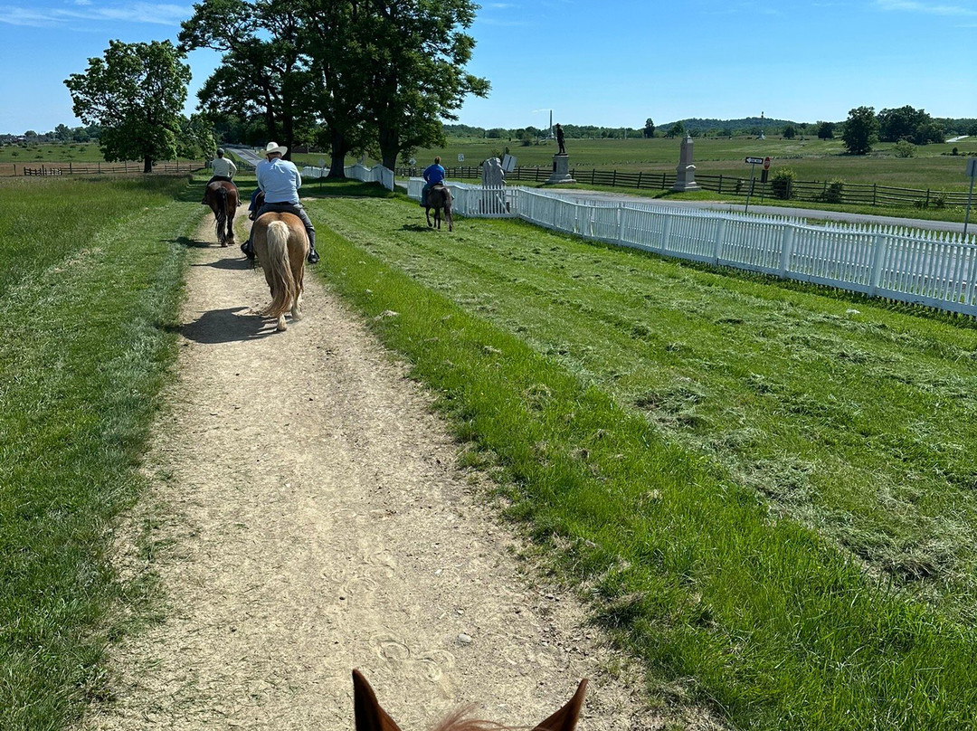 Hickory Hollow Horse Farm-葛底斯堡必去景点