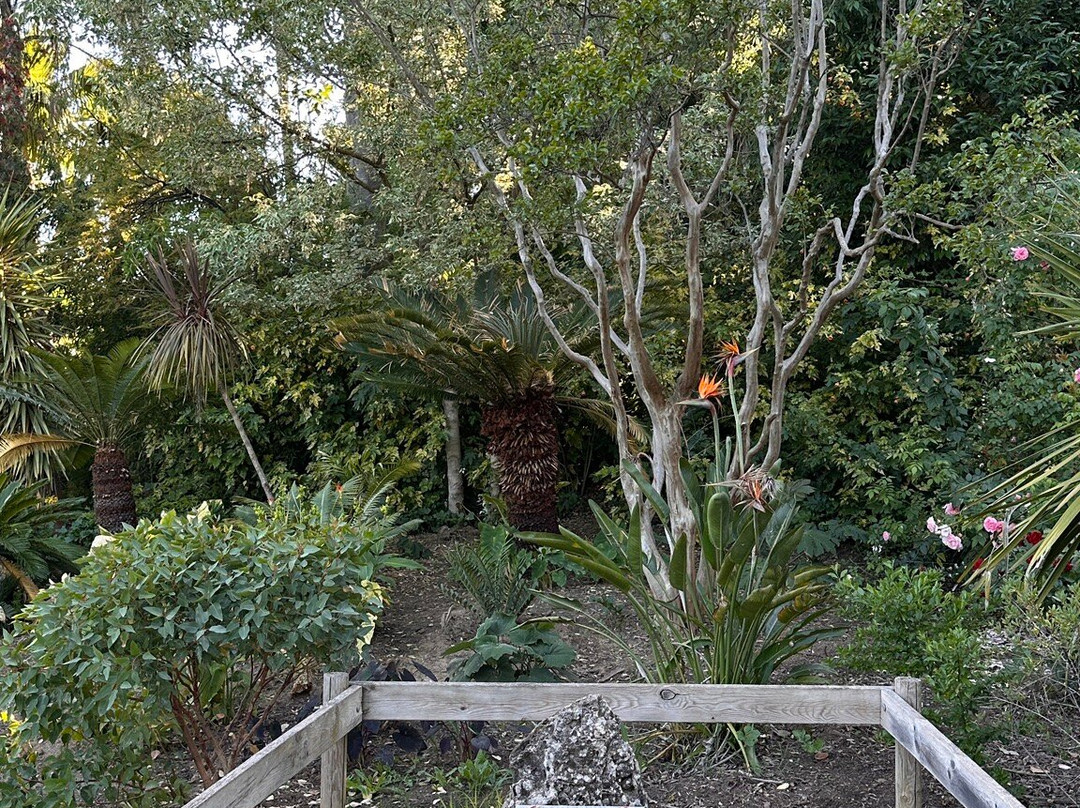 Parc Olbius-Riquier-耶尔必去景点