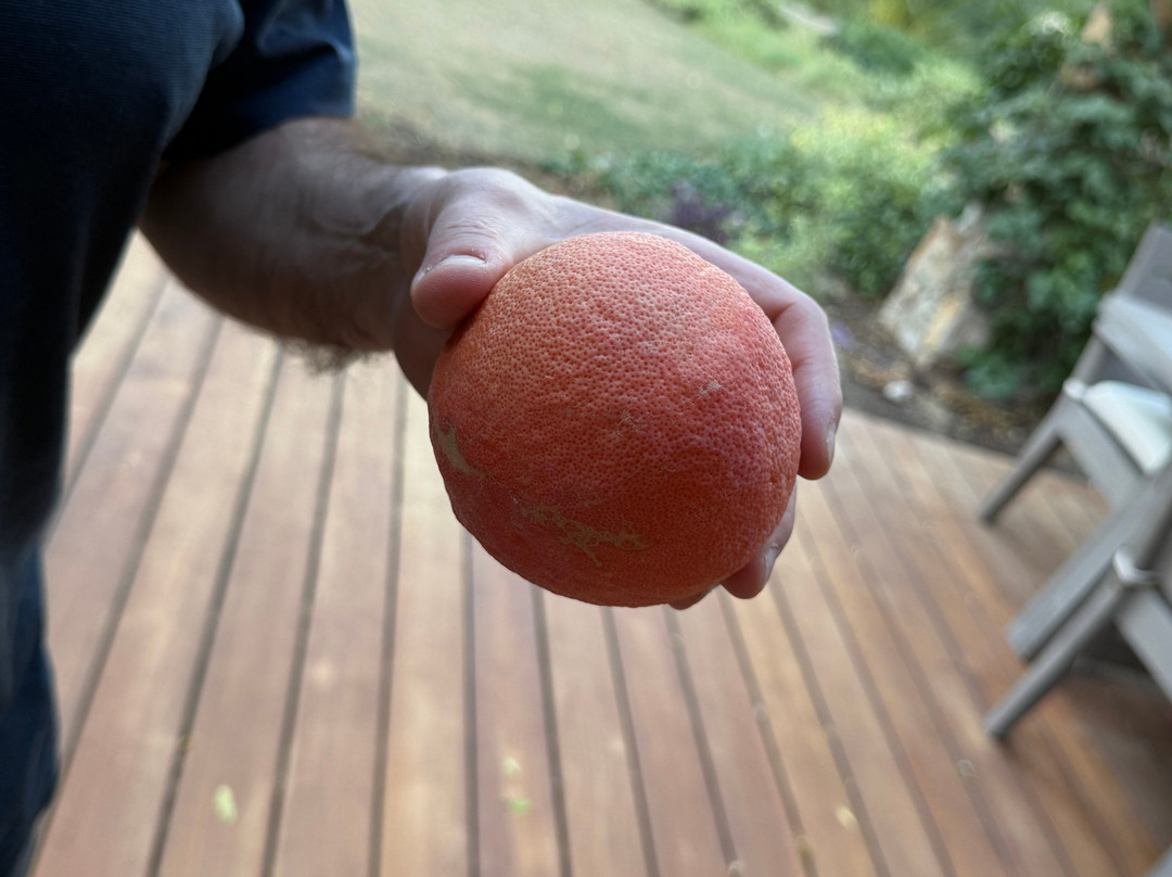 Sensei Porcupine Creek主图