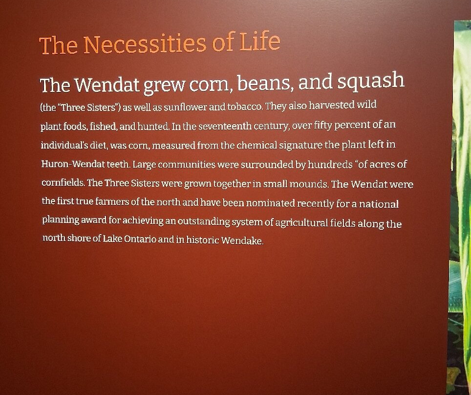 Muskoka Discovery Centre-格雷文赫斯特必去景点