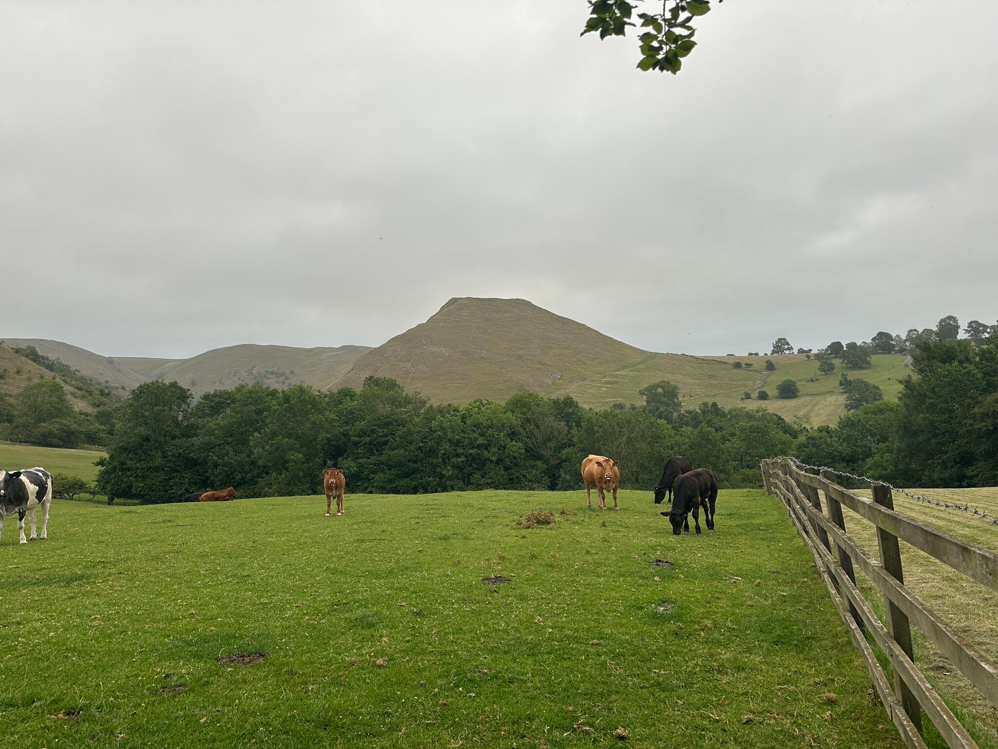 The Izaak Walton Country House Hotel-官方