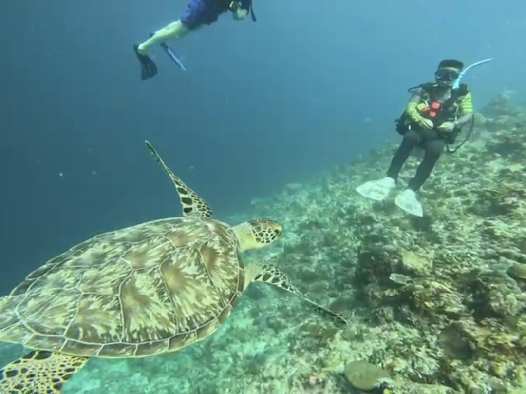 Euro-Divers LUX South Ari Atoll-南阿里环礁必去景点
