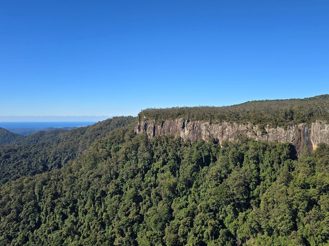 Springbrook National Park Canyon Lookout