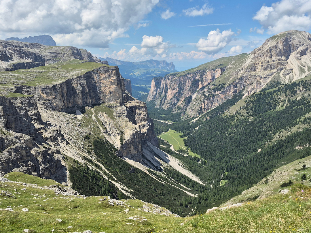 黛安娜酒店主图