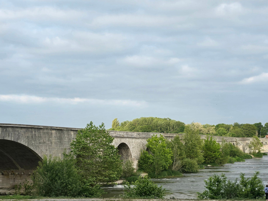 Pont de Beaugency-Beaugency必去景点