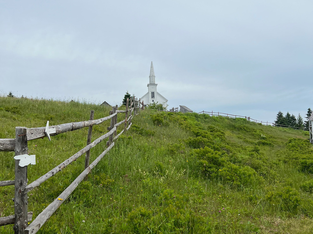 Blackwood Tours-新沃特福德必去景点