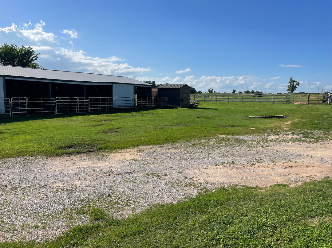 Rolling Stones Stables And Tv Park
