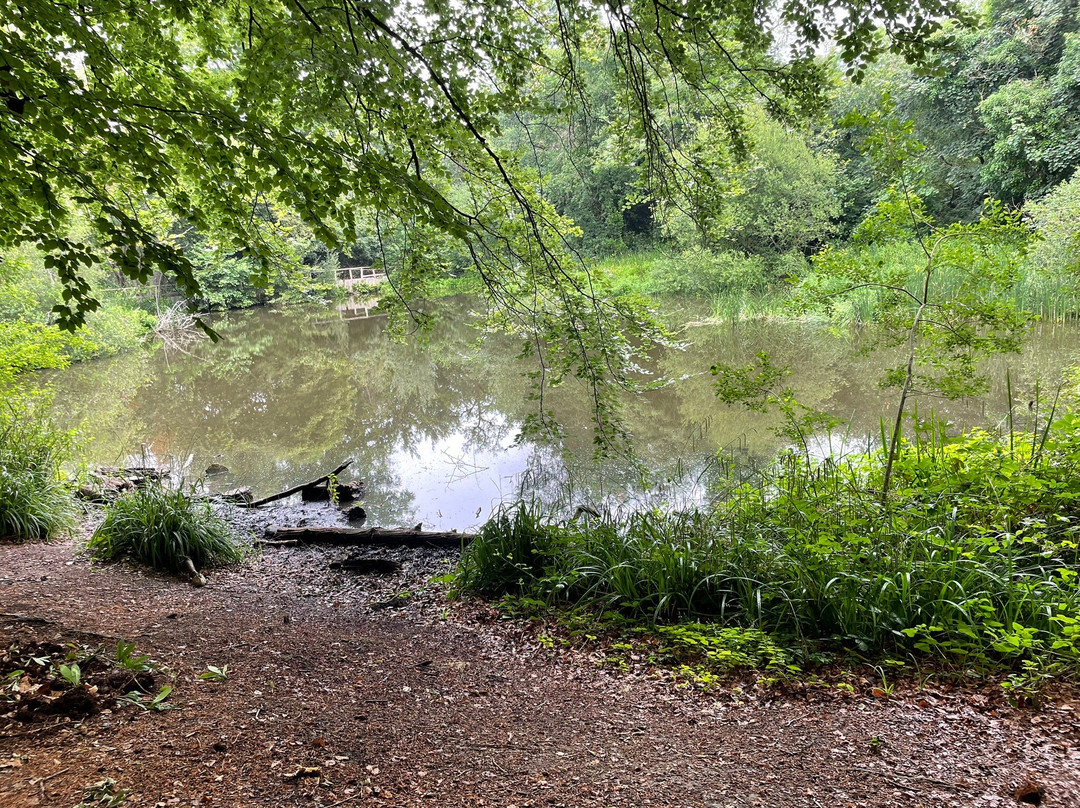 Wilberforce Oak-Keston必去景点