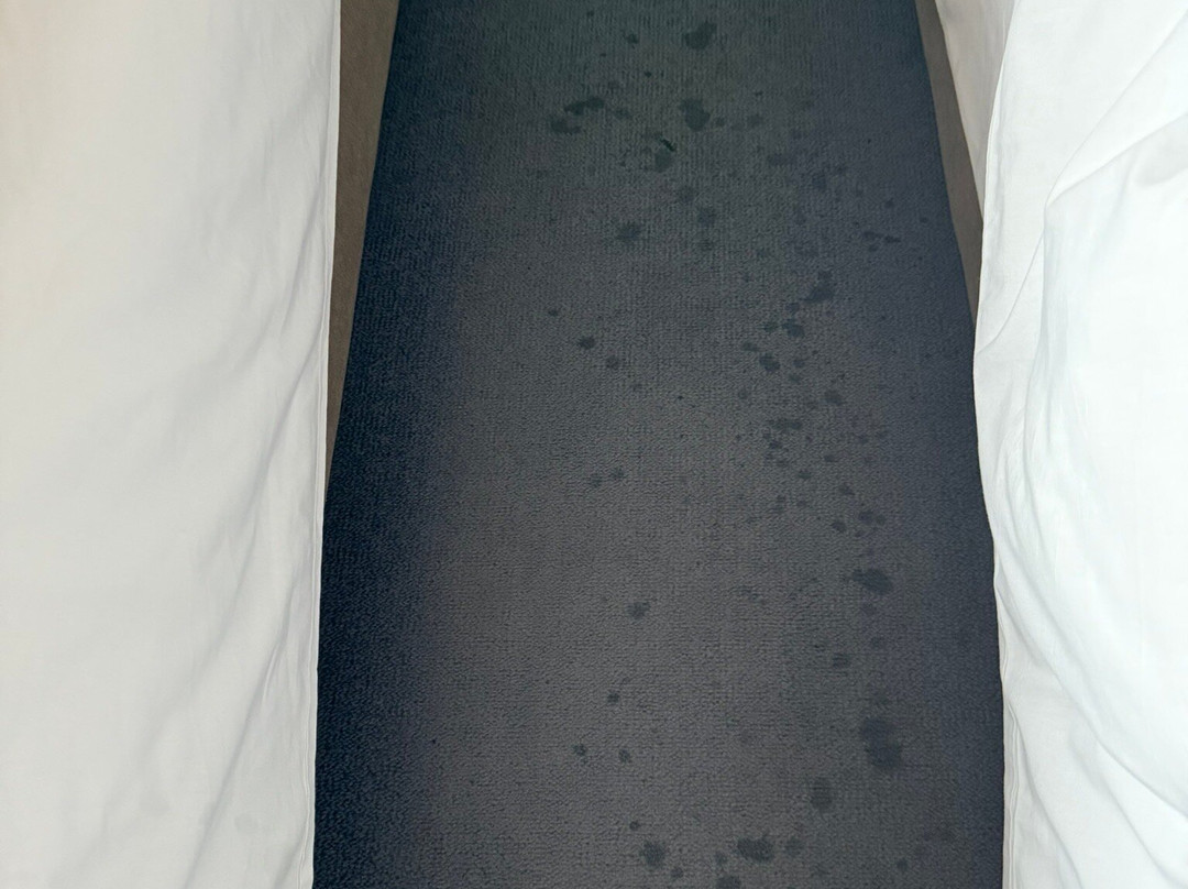 Hotel Paraíso主图