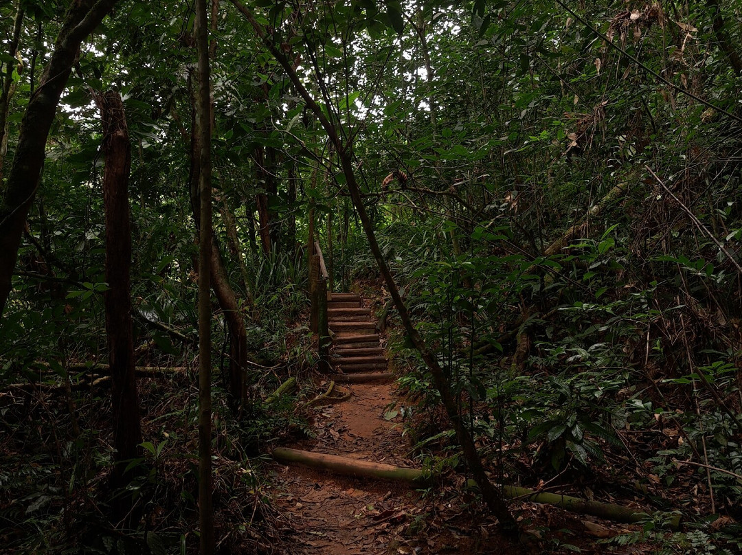 Cachoeira da Pedra Lisa-Boicucanga必去景点