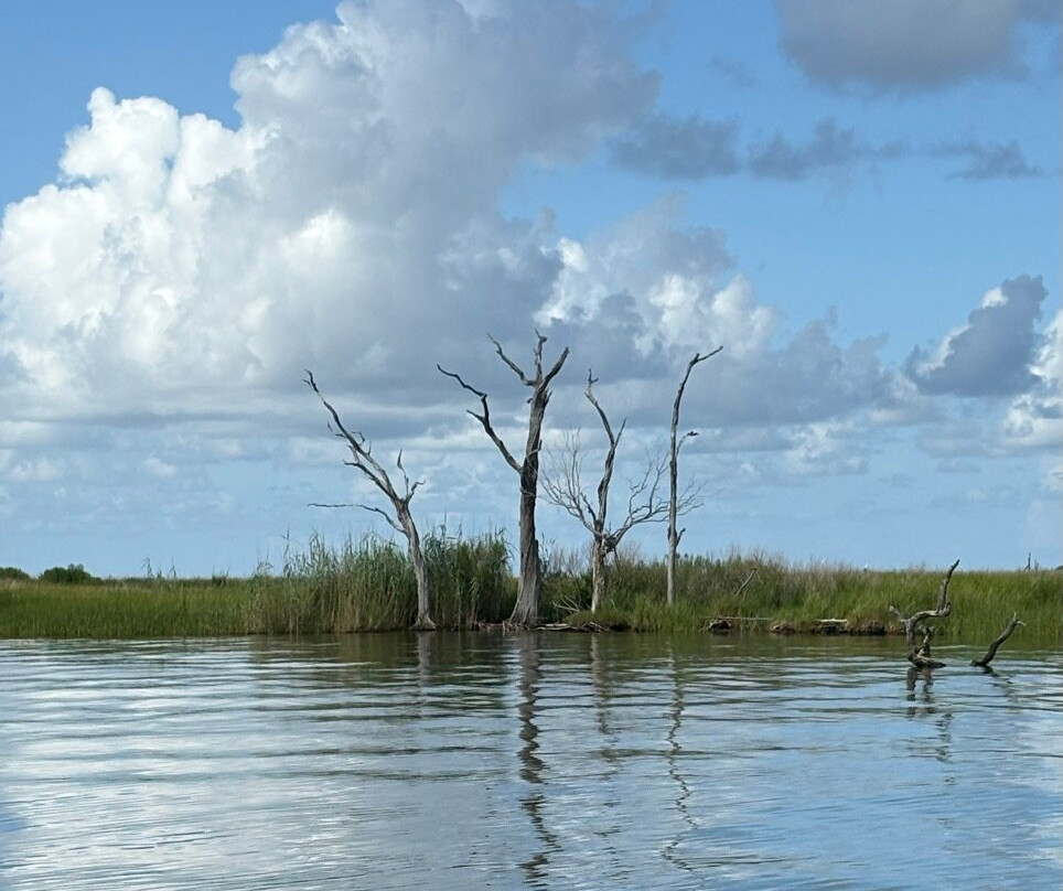 Delta Discovery Tours-Empire必去景点