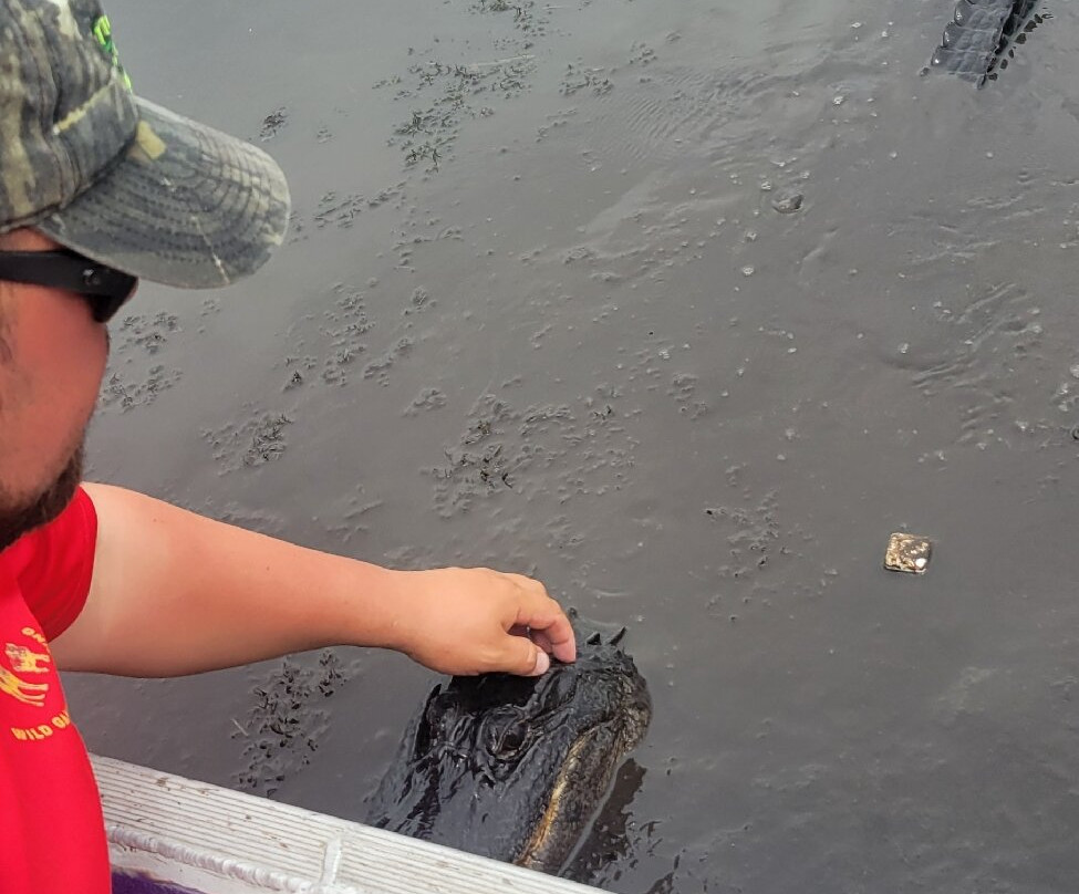 Ultimate Swamp Adventures-Westwego必去景点