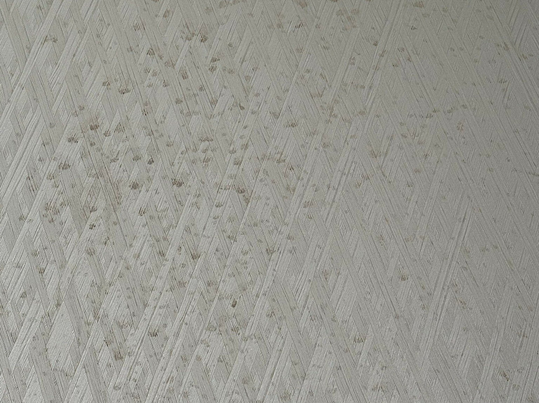 JW Marriott Charlotte主图