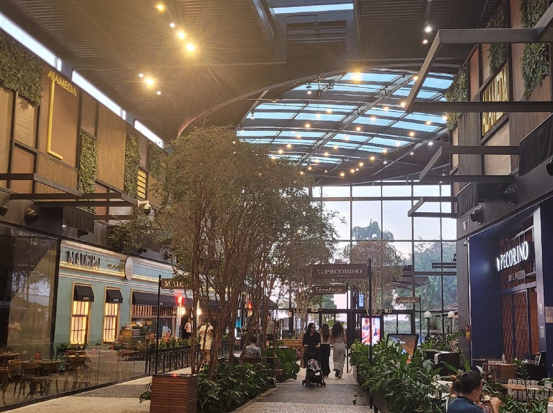 Parque Dom Pedro Shopping-坎皮纳斯必去景点