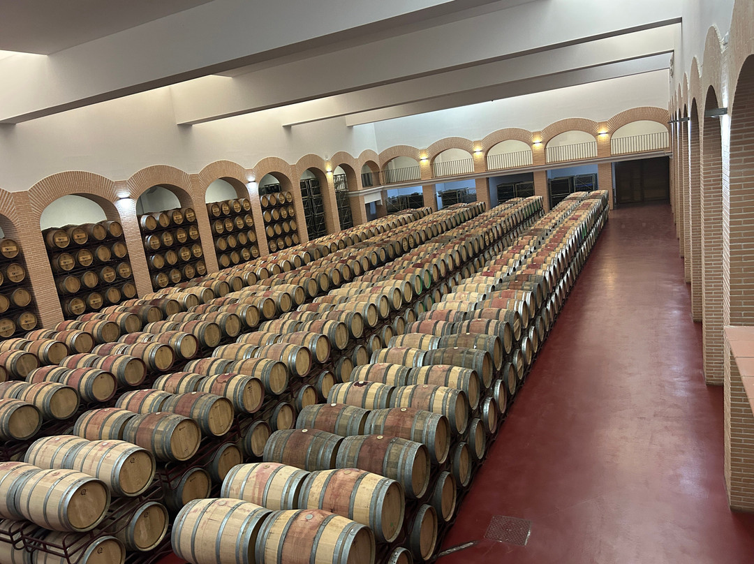 Bodegas Olarra-洛格罗尼奥必去景点