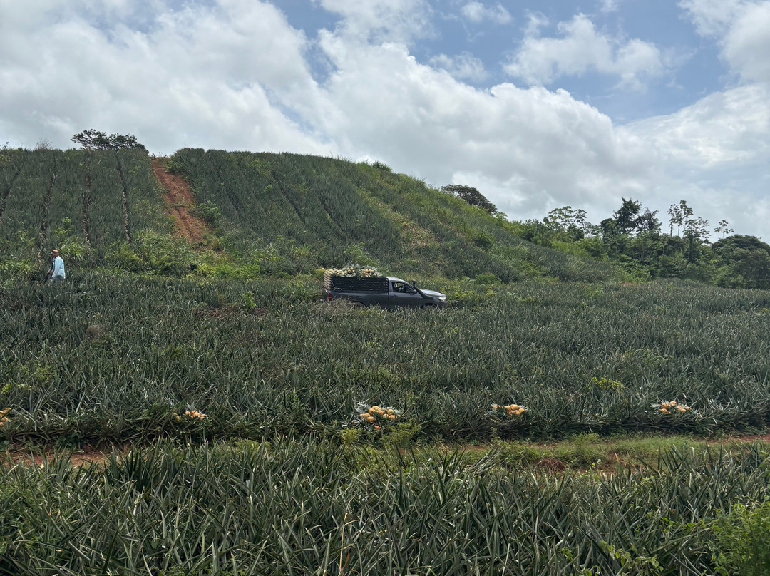 Panama Great Adventures-巴拿马城必去景点