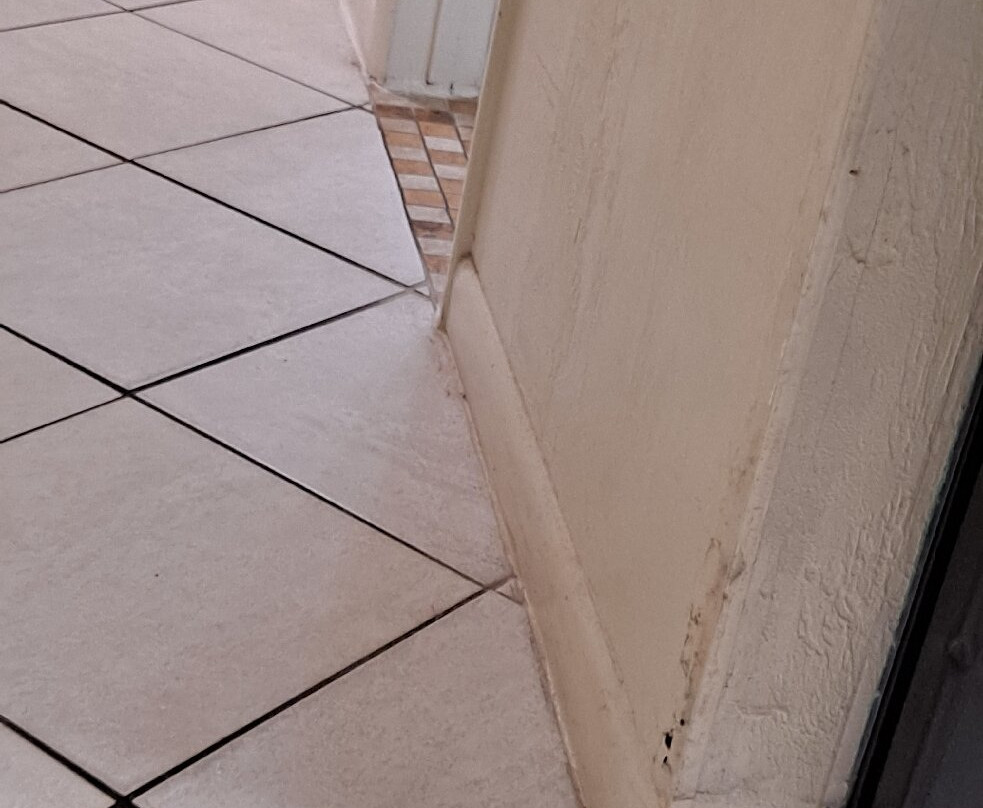 Islander Beach Resort主图