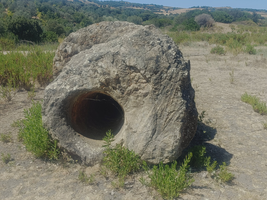 La foresta pietrificata di Martis-Martis必去景点