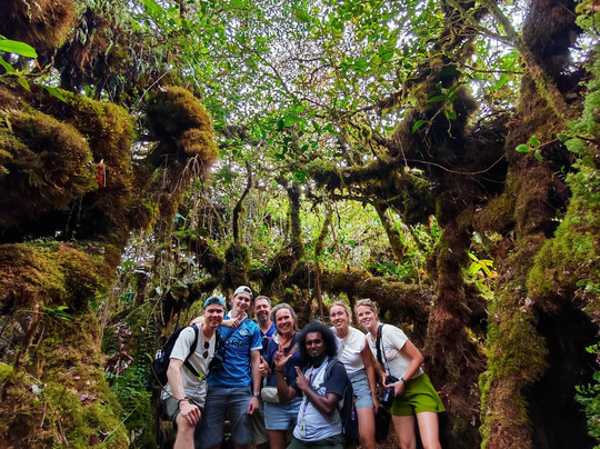 Lets Go Discovery (LGDTT)-丹那拉塔必去景点