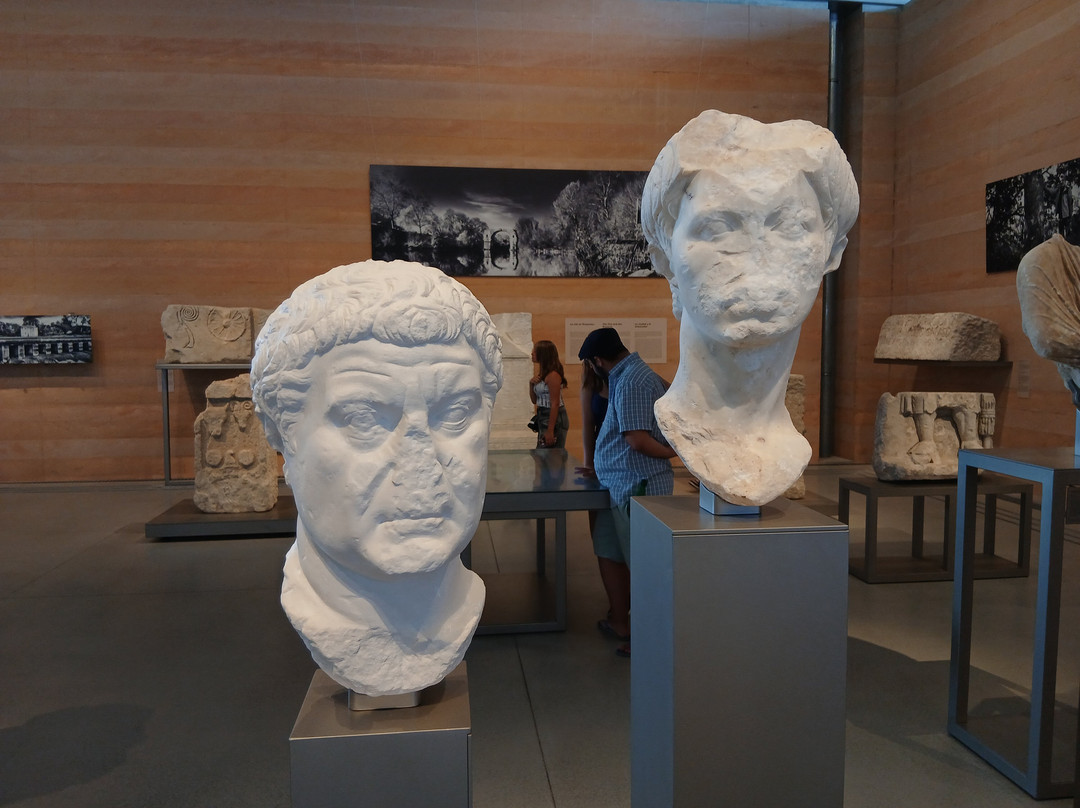 Narbo Via - Musée À Narbonne