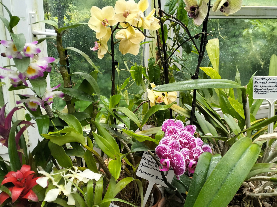 Botanical Garden of Tver State University-特维尔必去景点