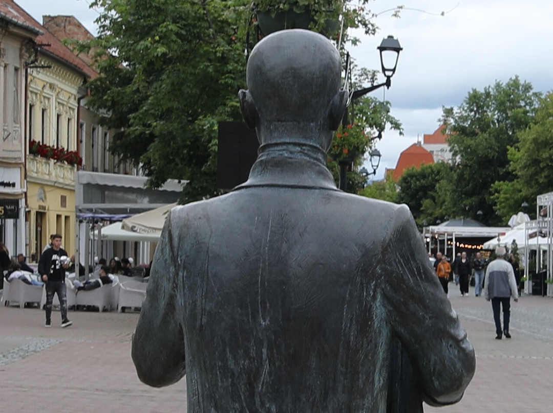 Statue En Bronze Du Photographe Alexandru Rosu À Bistrita-Bistrita必去景点