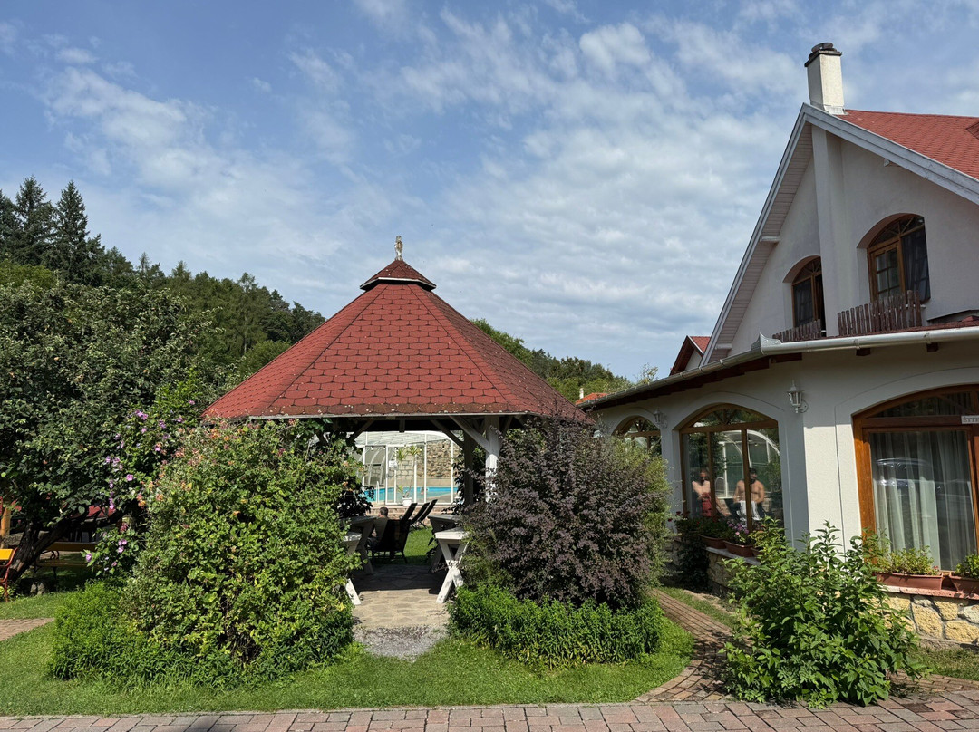 Aranybanya Hotel主图