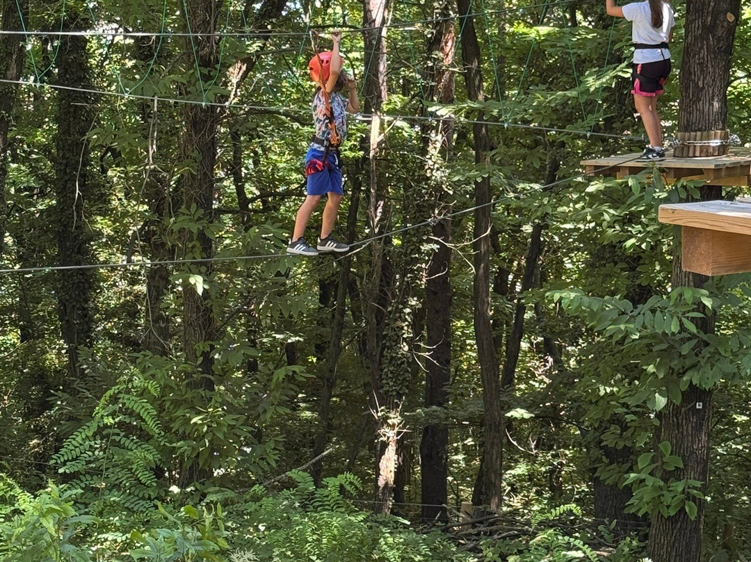 Wonderwood Spina Verde-Colverde必去景点